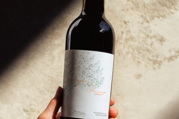 megane_delhaie_print_01